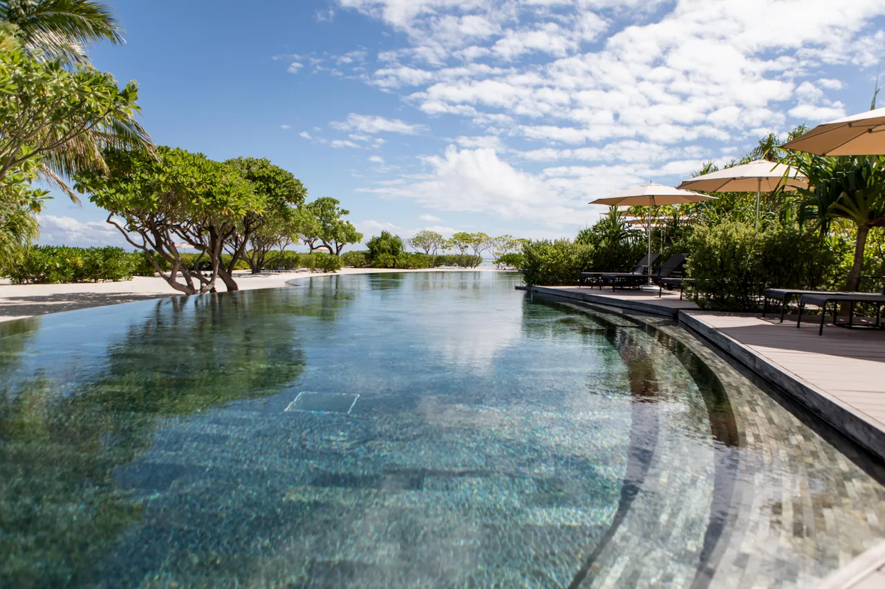 Swimming pool surrounded by tropical greenery